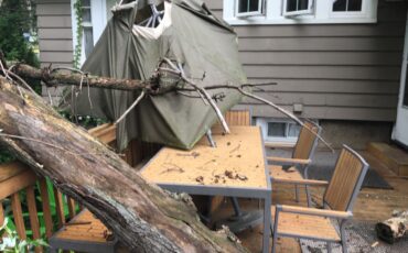 Fallen tree tree damage tree fell on deck maplewood nj